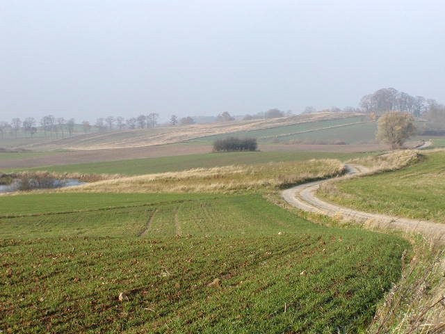 Mazury -10ha ze stawem przy lesie — zdjęcie 6