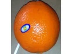 Pomarańcze