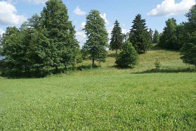 (513) Działka z linią brzegową jeziora Gaładuś — zdjęcie 4