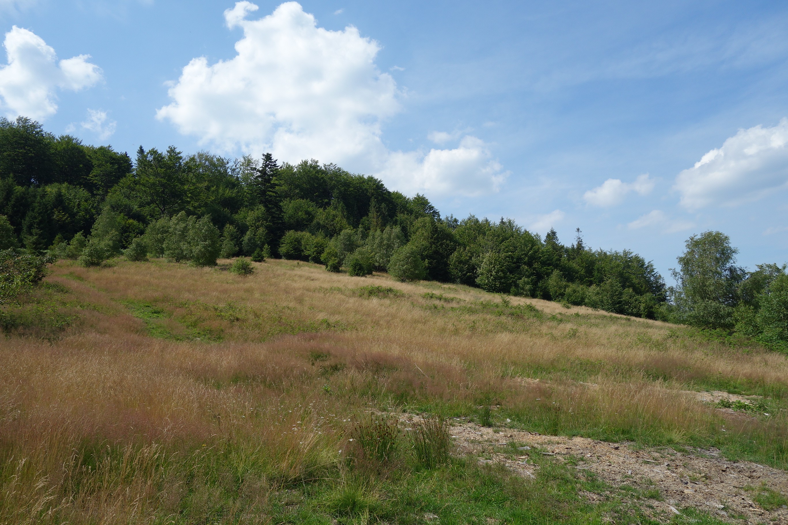 Beskidy Brenna 2,53 ha z prawem zabudowy blisko wyciągu orczykowego — zdjęcie 2