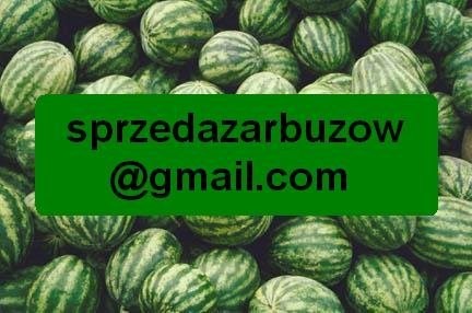ARBUZ WĘGIERSKI + TRANSPORT