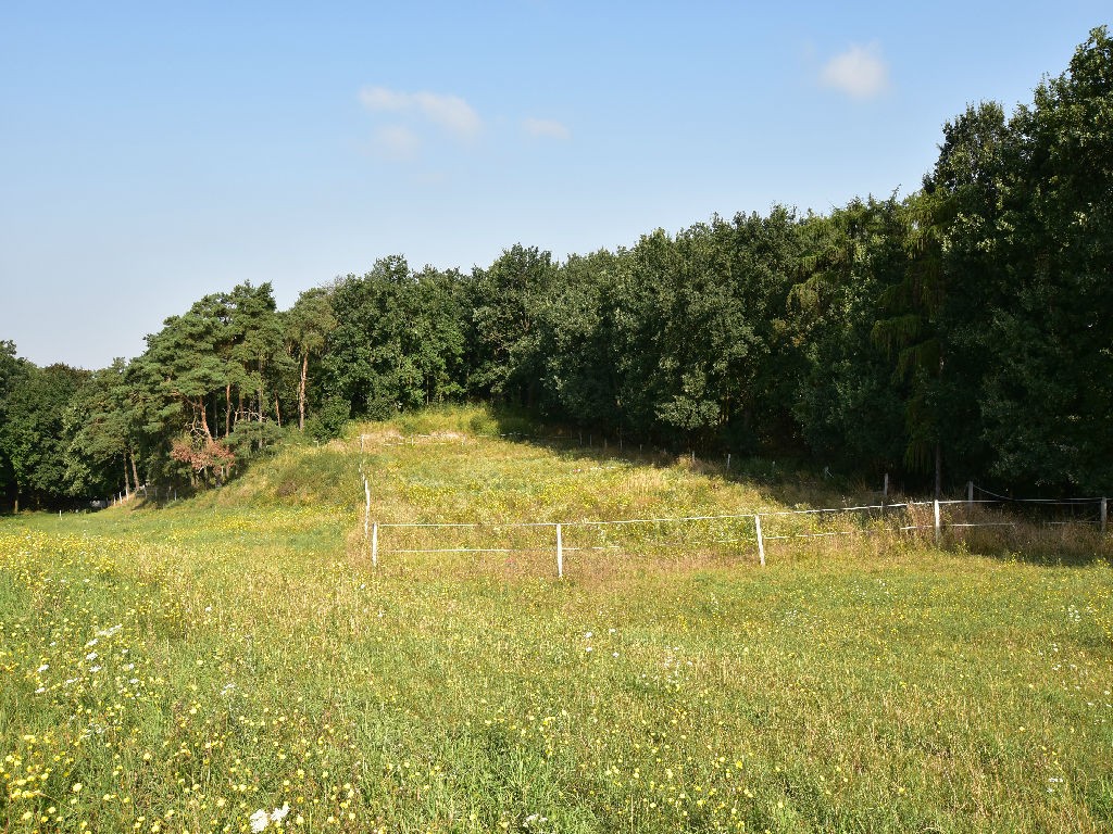 Na Sprzedaż Gospodarstwo Rolne , 507 799 m2 , Szczecin - Czepino  — zdjęcie 5