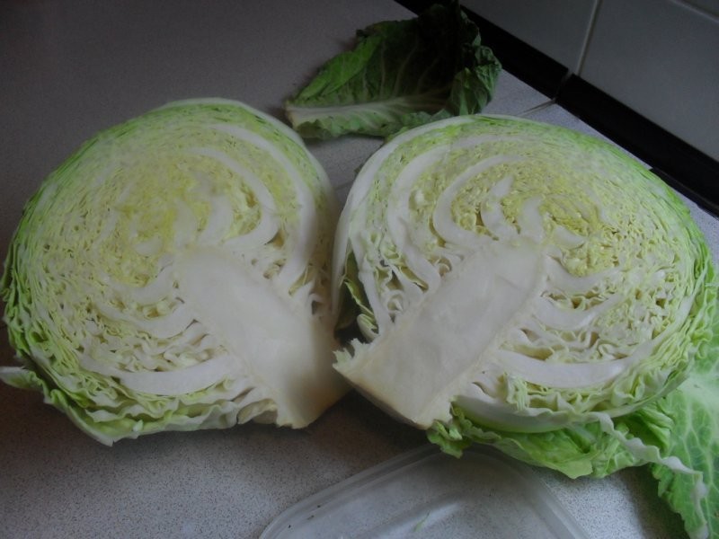 kapusta biala