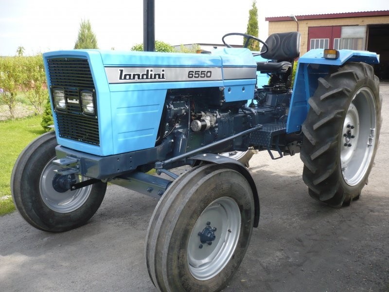 LANDINI — zdjęcie 1