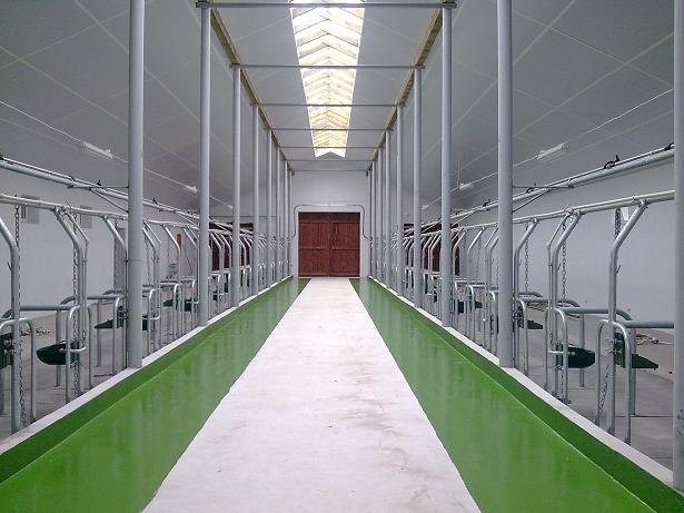 Dojarka przewodowa Westfalia  z montażem , gwarancją i serwisem.