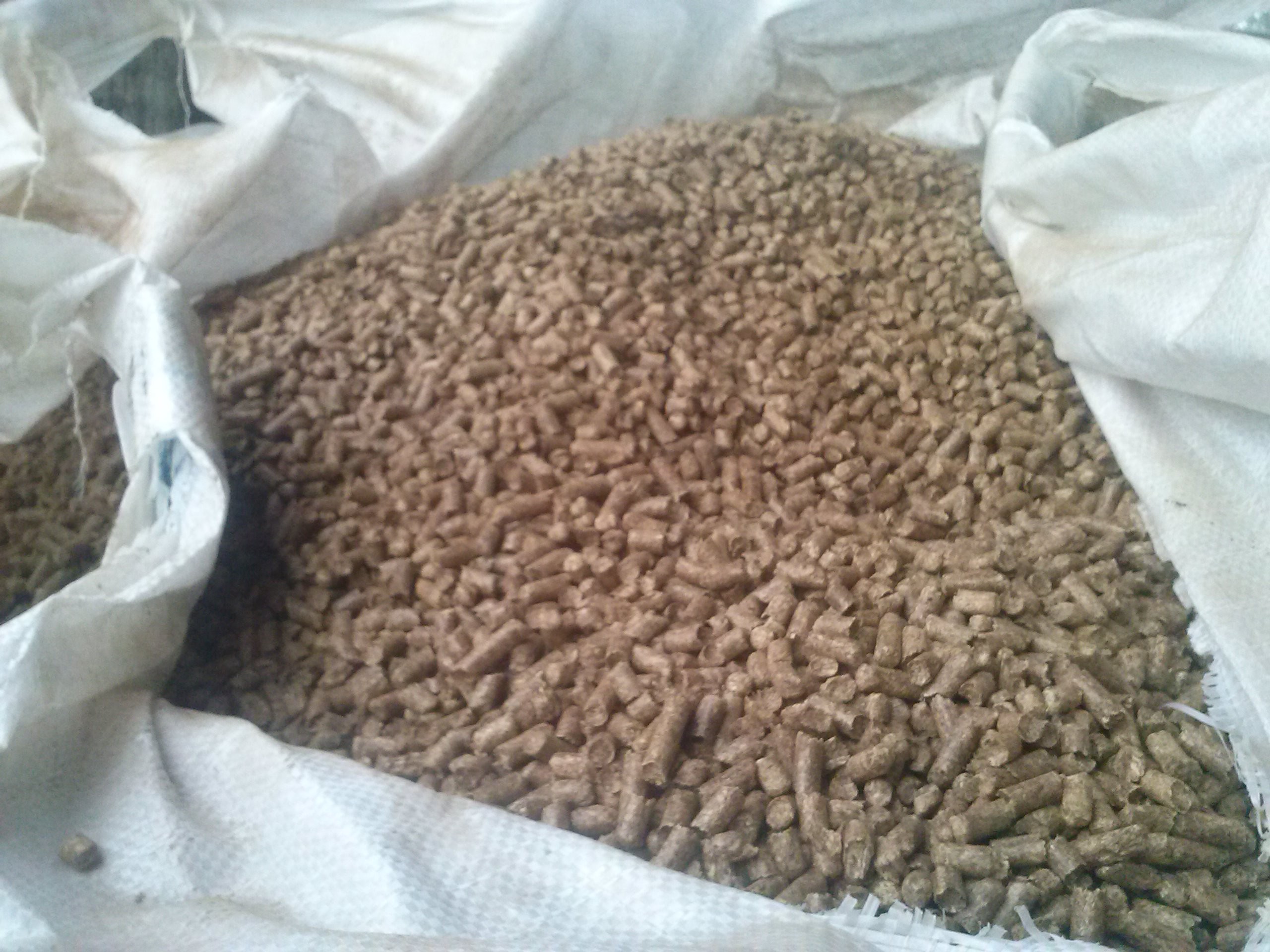 Pellet z Ukrainy — zdjęcie 1