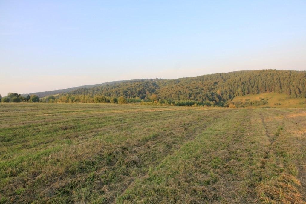 Nieruchomość rolna 21 ha OKAZJA cenowa