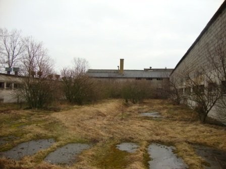 Wynajmę chlewnia - warchlakarnia — zdjęcie 4