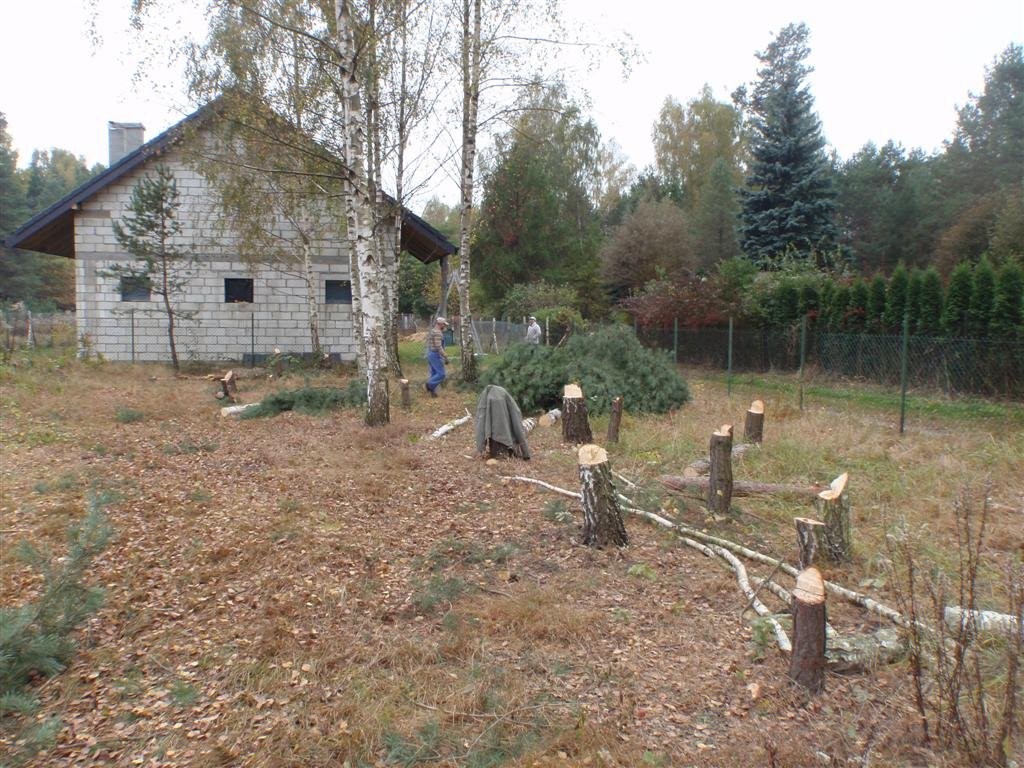 Wycinka drzew łódź, zgierz, ozorków, brzeziny, and — zdjęcie 2