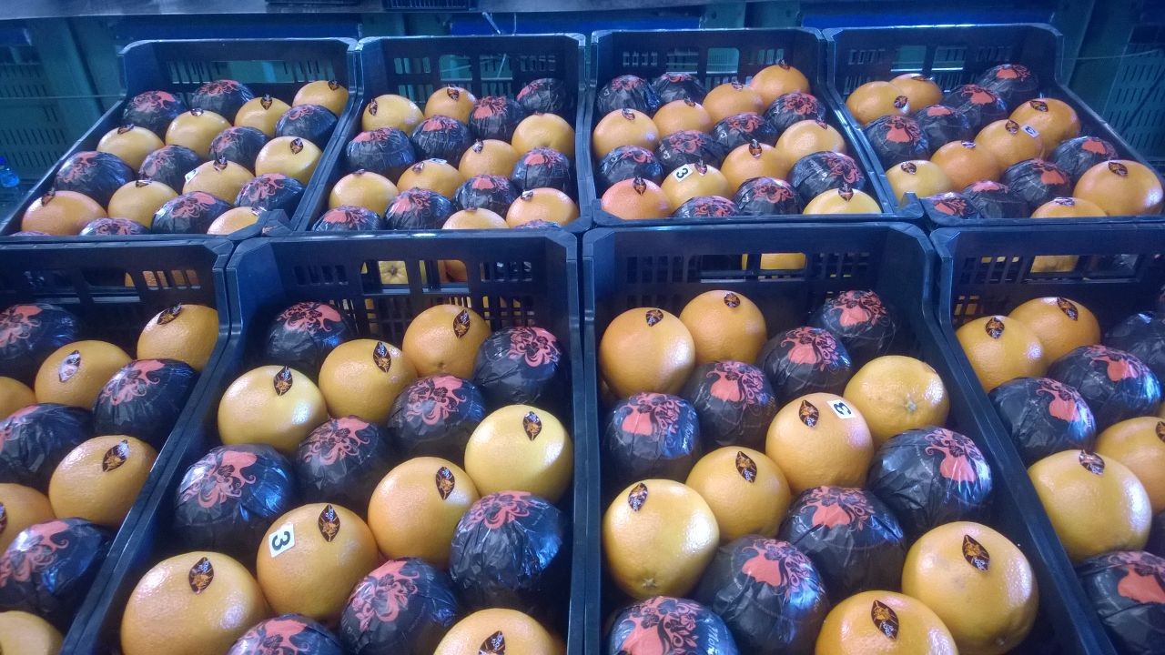 Pomarańcze- import - szukamy partnera handlowego — zdjęcie 2