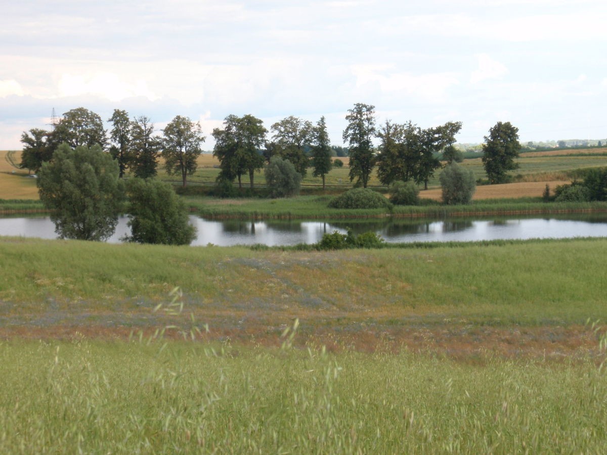 Gospodarstwo rolne 47,5ha Blizienko — zdjęcie 12