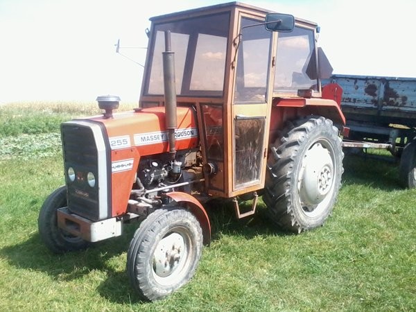 Massey Ferguson 255 - 1987 — zdjęcie 3