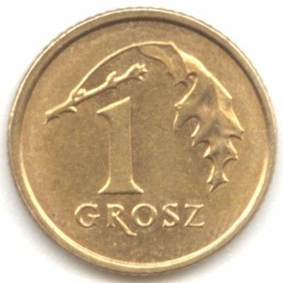 Rozwiń Skrzydła Swojego Przedsiębiorstwa!!! — zdjęcie 3