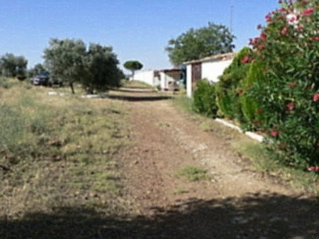 Granja perdices en finca 12 has.