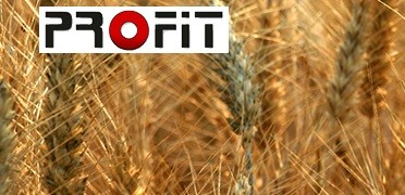 Oferujemy do sprzedania