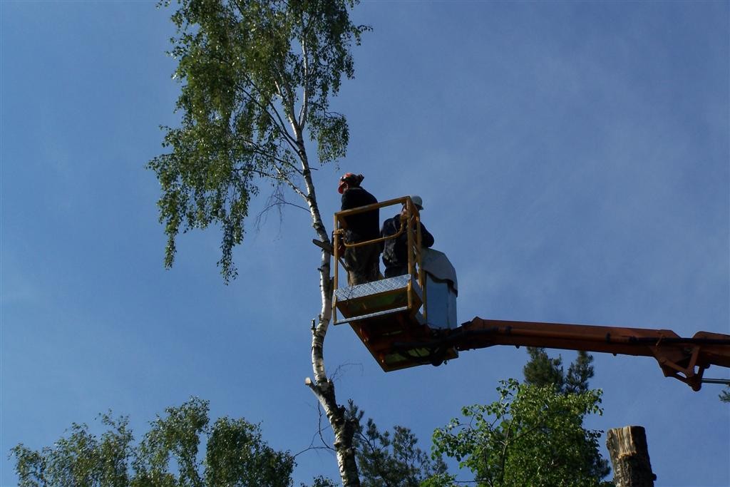 Porządkowanie działek przygotowanie pod inwestycje wycinka drzew — zdjęcie 3
