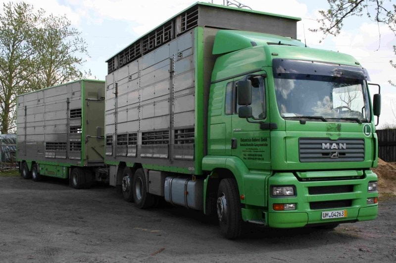 USŁUGI TRANSPORTOWE — zdjęcie 2
