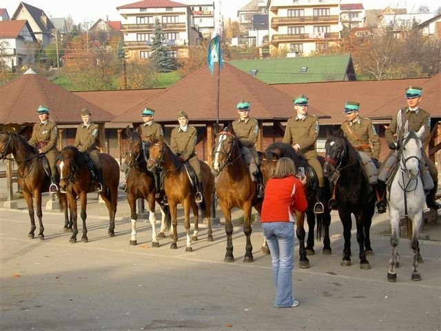Zamienię obornik koński — zdjęcie 2