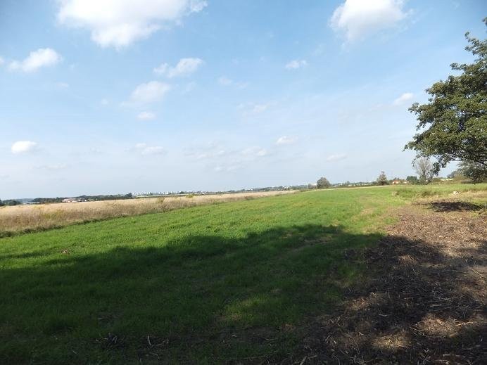 Działka 1,4 ha ul. NIWICKA dla INWESTORA — zdjęcie 2
