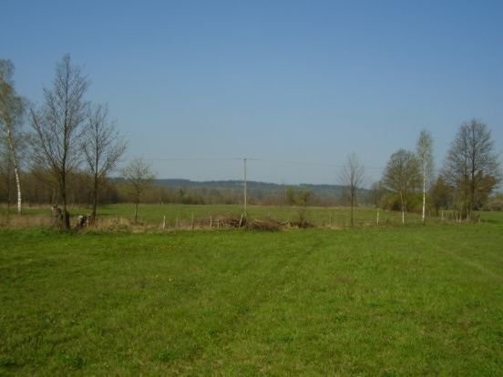 11,35 ha gruntu 3-4 klasy + Dom + garaż — zdjęcie 1