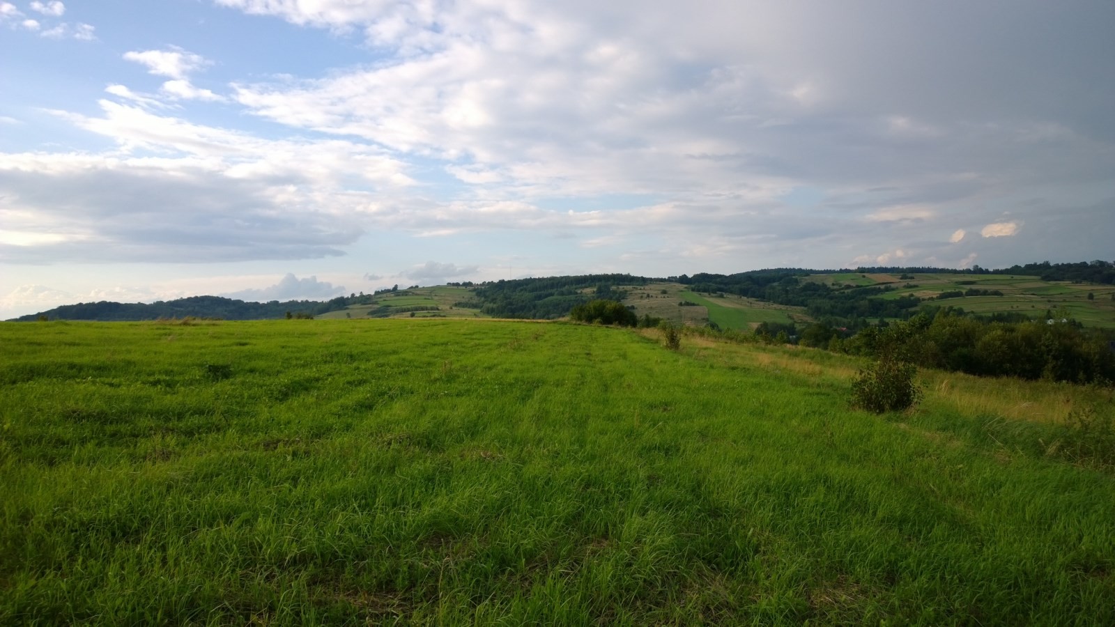 4 ha działek rolnych, reakreacyjnych ok Krosno Jasło Dukla- Bieszczady — zdjęcie 2