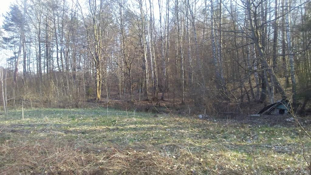 1,25 ha Szemud — zdjęcie 2