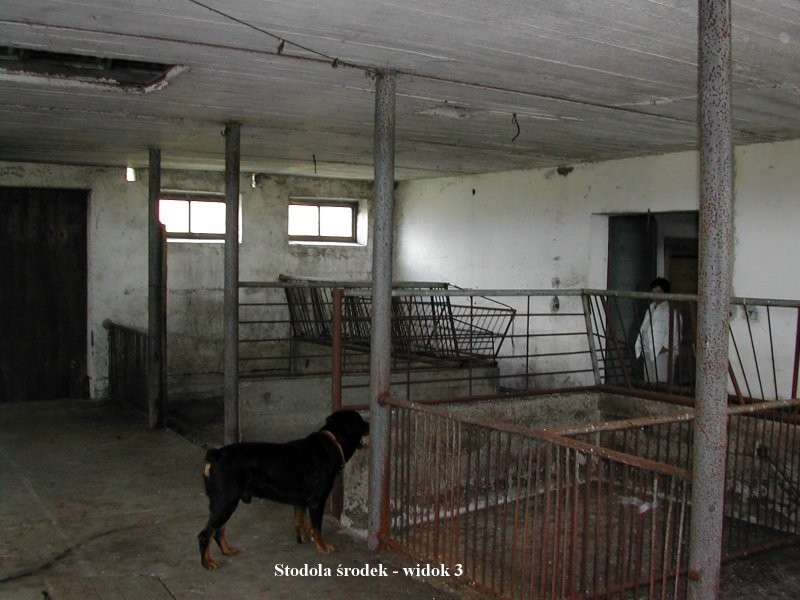 Nieruchomośc siedliskowa - mazowieckie- 0/Płocka — zdjęcie 5