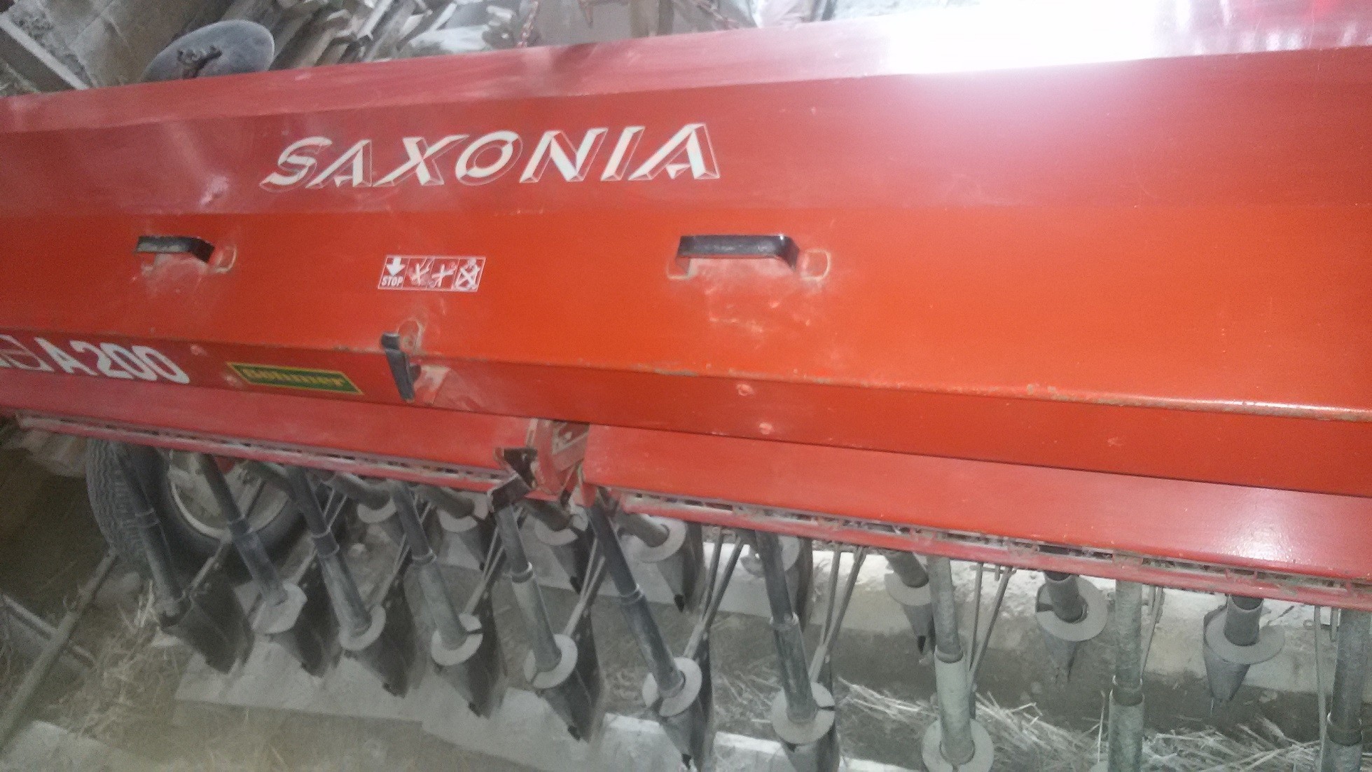 siewnik saxonia  — zdjęcie 2