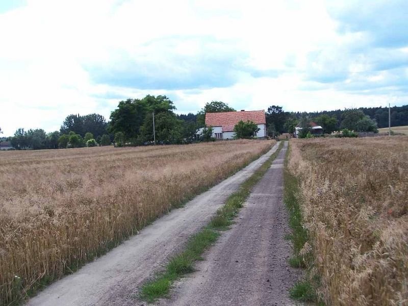 GOSPODARSTWO ROLNE Z ZABUDOWANIAMI — zdjęcie 1