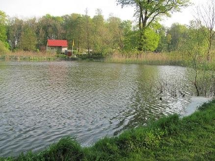 DZIAŁKA SIEDLISKOWO-REKREACYJNA + BUDYNEK — zdjęcie 3