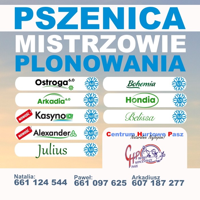 Kwalifikowany materiał siewny zbóż ozimych