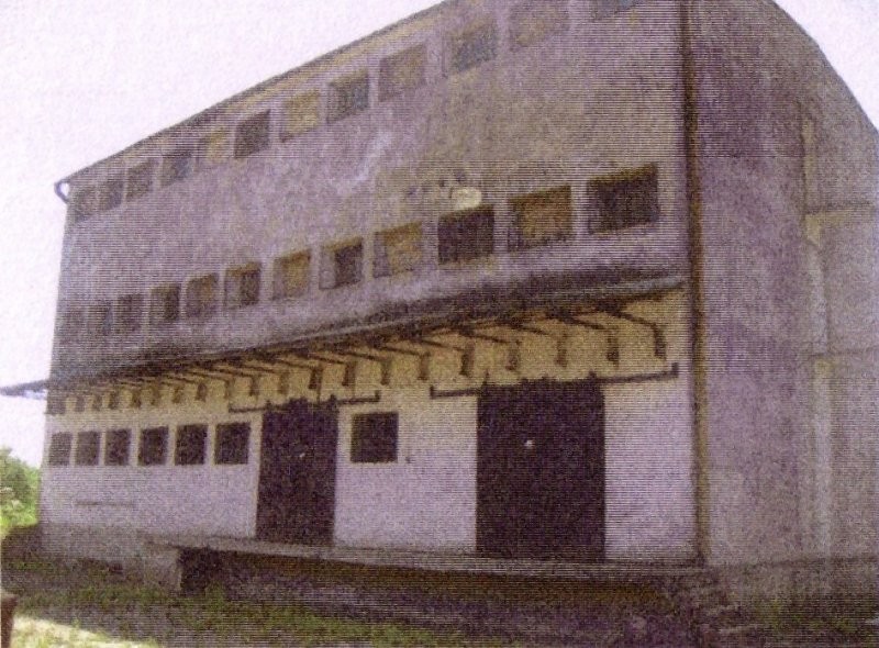 Zakład Produkcji grzybów — zdjęcie 5