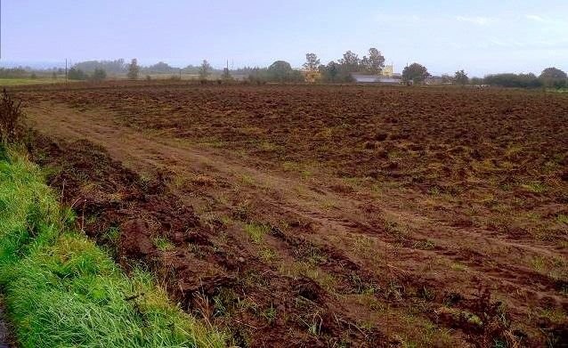 Koszalin - 2,5 ha — zdjęcie 1
