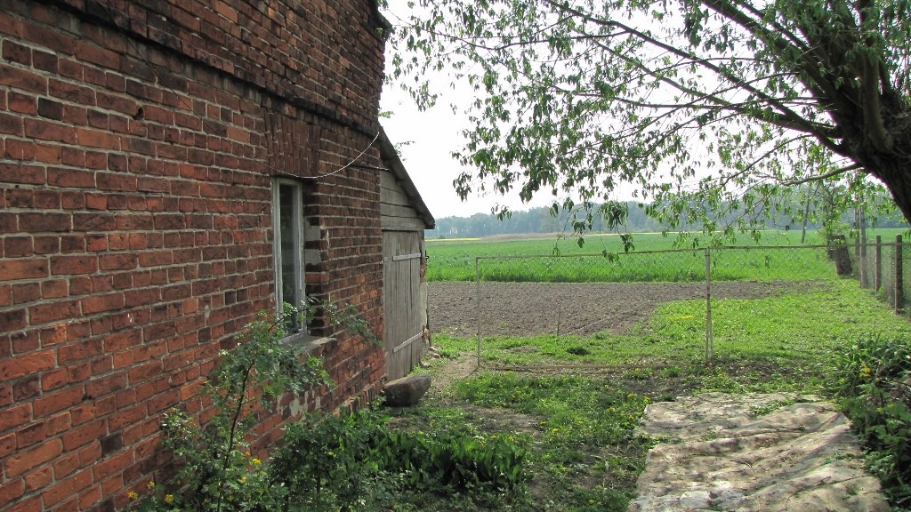 Grunty orne, ziemię rolną - 10ha, powiat górowski — zdjęcie 4