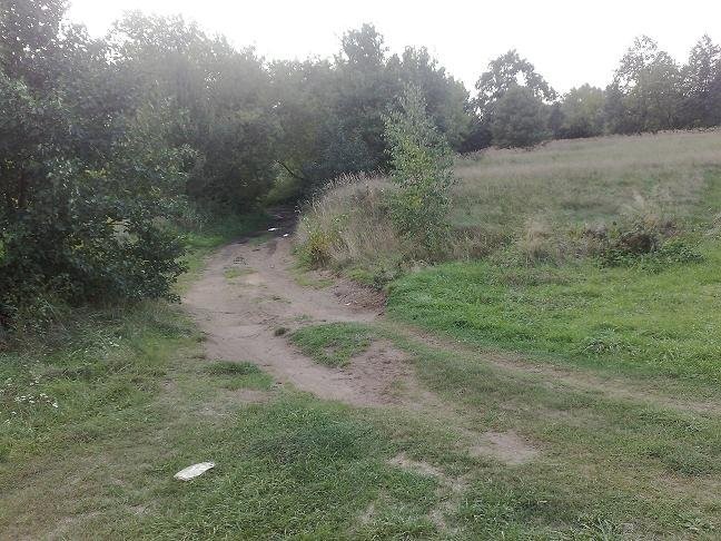 działka nad rzeką Narwią — zdjęcie 6
