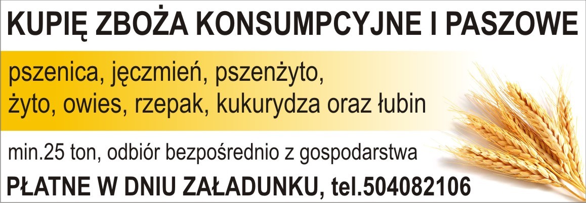 Kupię jęczmień ozimy 