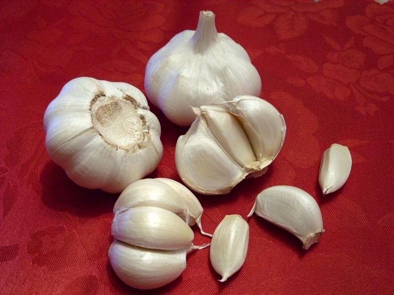 Tani zdrowy,ładny polski czosnek