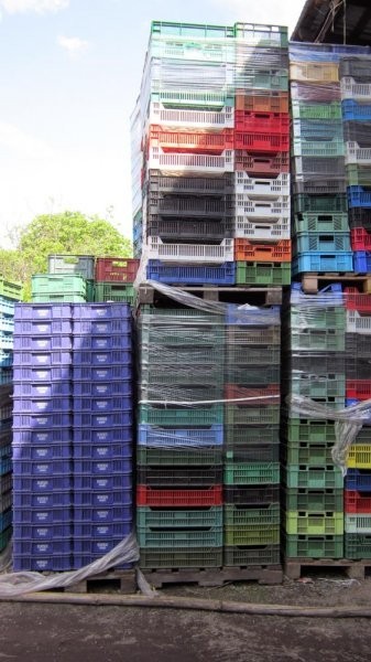Nowe łubianki, skrzynki plastikowe — zdjęcie 5
