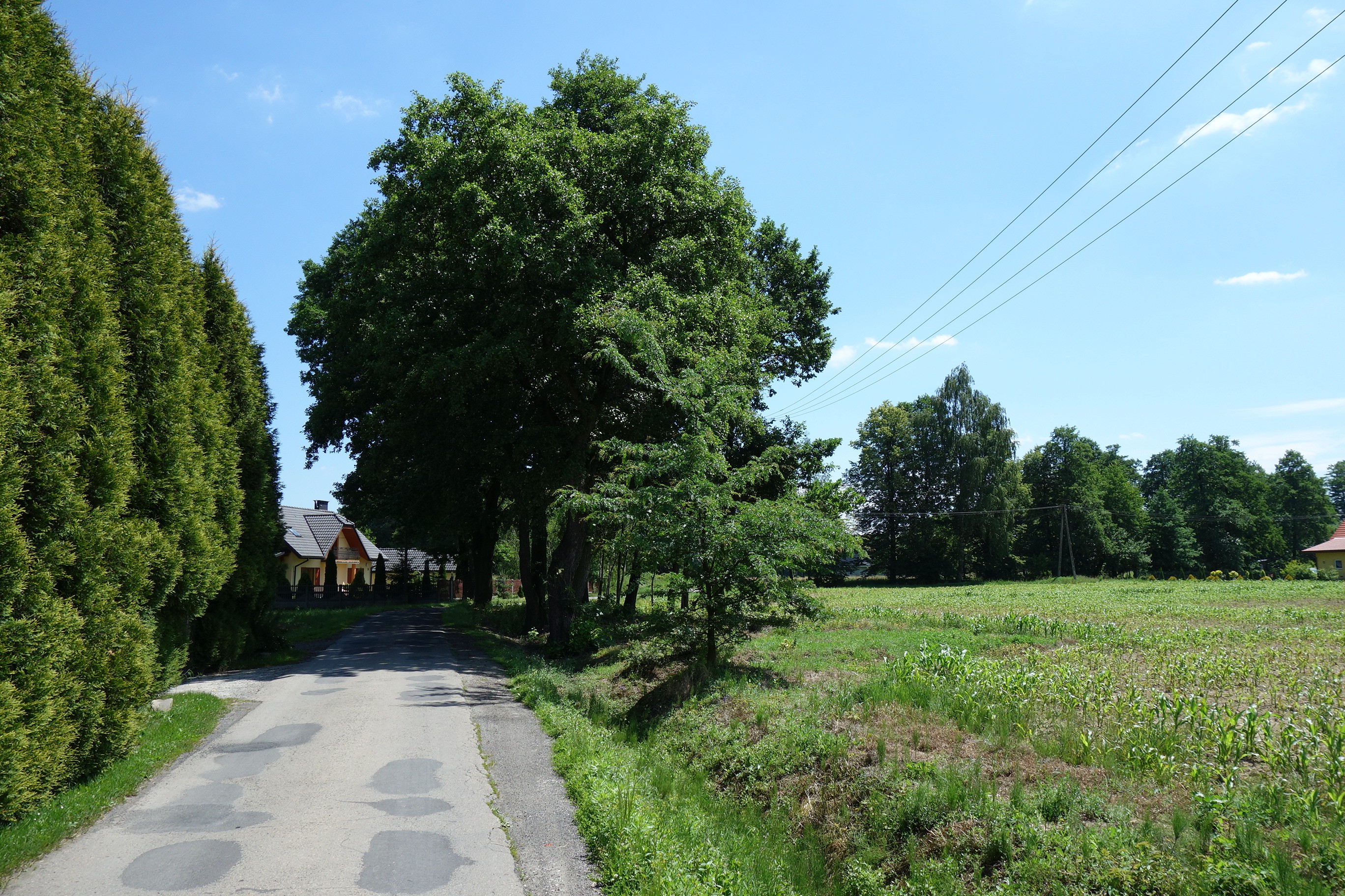 śląsk cieszyński 3,2ha blisko trasy katowickiej z cześcią budowlaną — zdjęcie 2