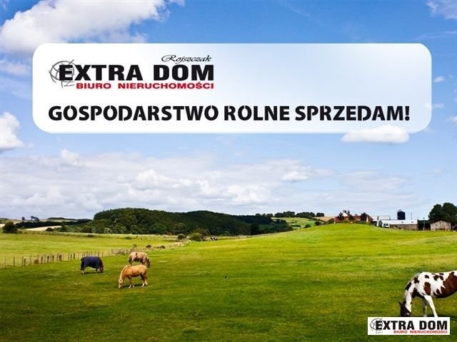 Ziemia rolna 79,35 ha