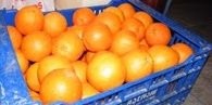 Pomarańcze duże ilości, Mandarynki z HISZPANII
