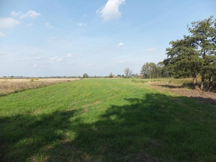Działka 1,4 ha ul. NIWICKA dla INWESTORA — zdjęcie 1