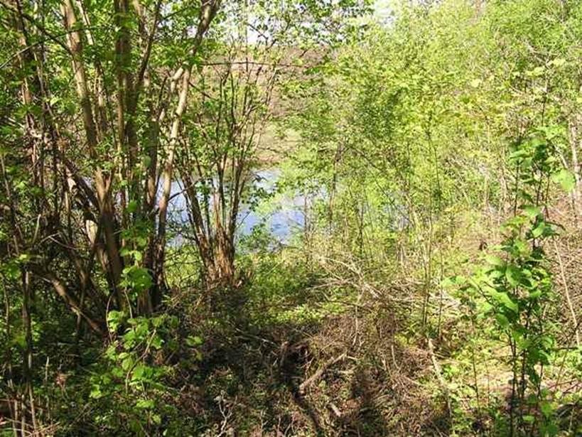 Oddam w dzierżawę  grunty rolne, Tarnówka, powiat Złotów, 29 ha — zdjęcie 7