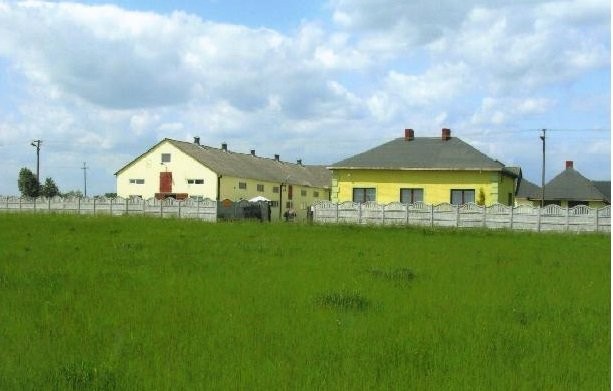 Sprzedam stadnine koni — zdjęcie 2