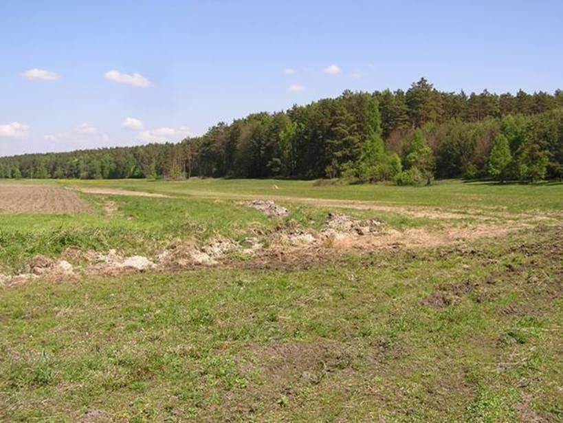 Oddam w dzierżawę  grunty rolne, Tarnówka, powiat Złotów, 29 ha — zdjęcie 6
