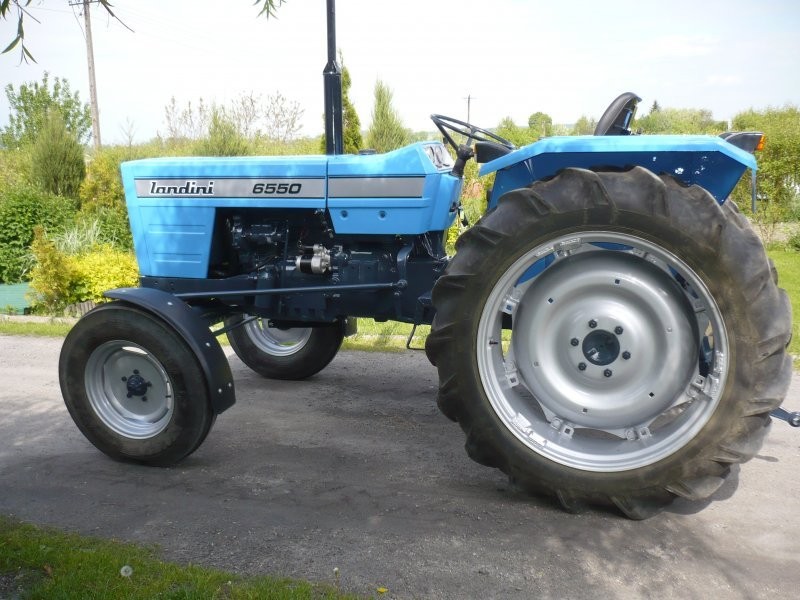 LANDINI — zdjęcie 2