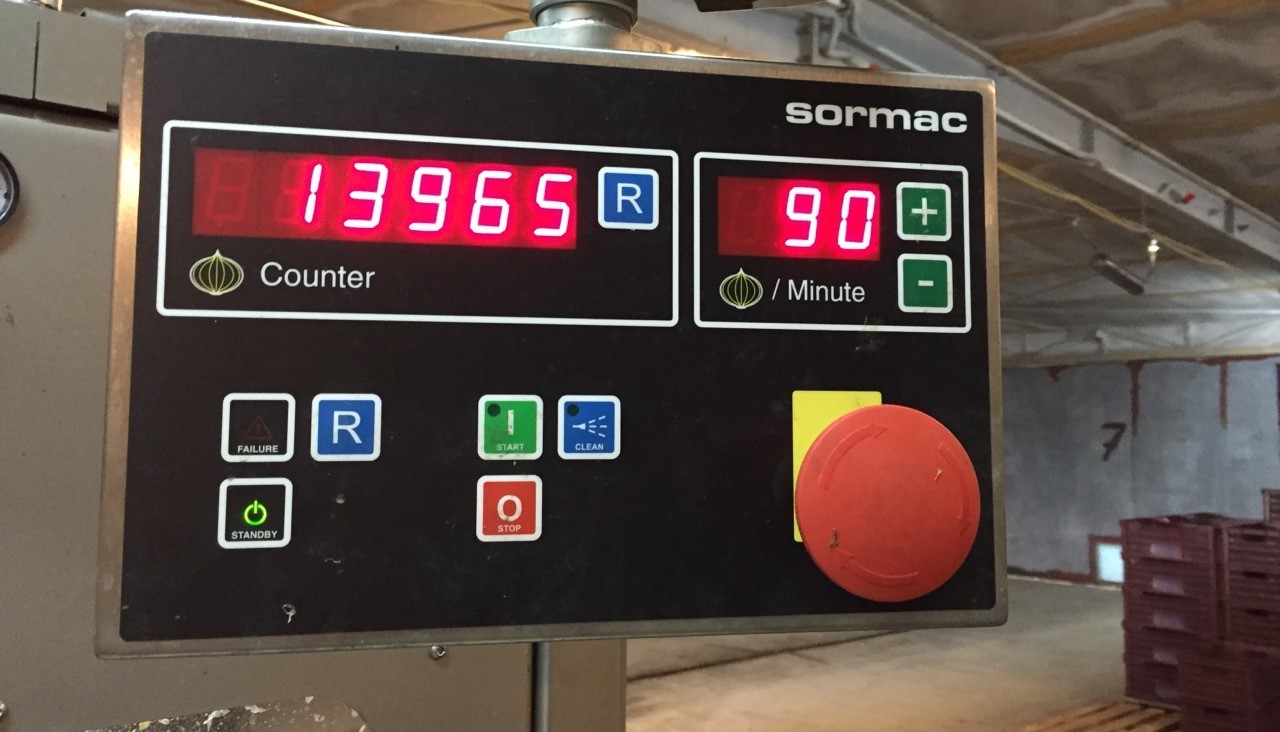 Sormac typ USM-S100 produkcja 2016 - maszyna do obierania cebuli  — zdjęcie 3