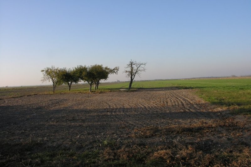 Grunty orne, ziemię rolną - 10ha, powiat górowski — zdjęcie 9