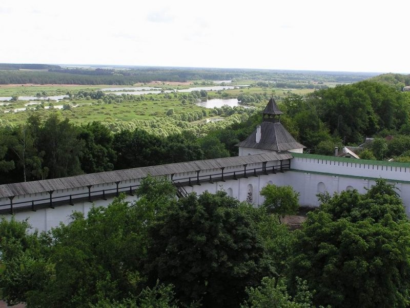 Drewno z UkrainskichLasowPanstwowych.Cena 15 zl/m3 — zdjęcie 1