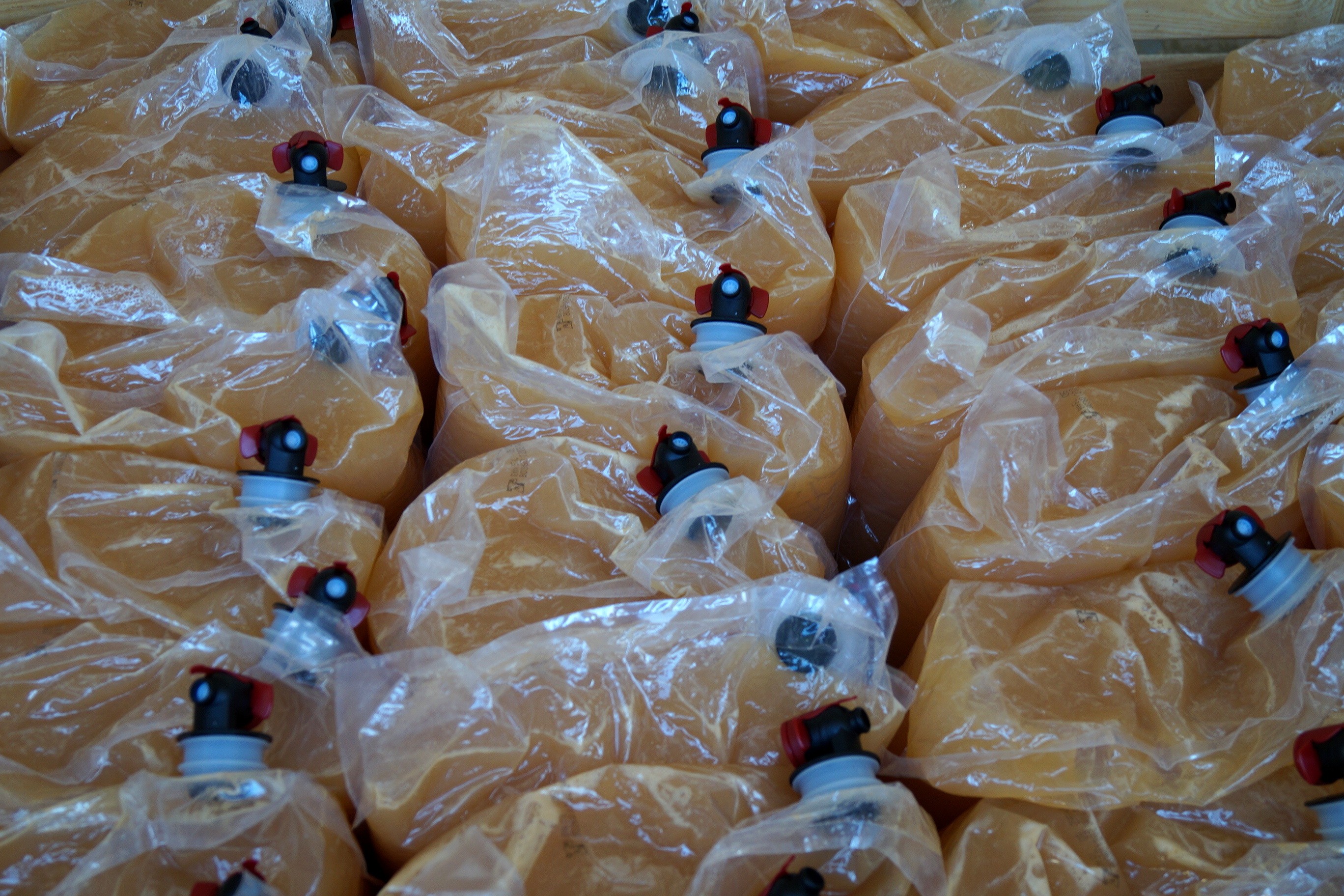 Sok jabłkowy 100% naturalny ze świeżych jabłek 5 litrów wysyłka — zdjęcie 3